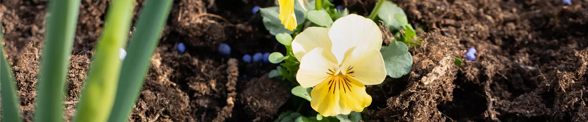 GS656927.jpg GS656927.jpg