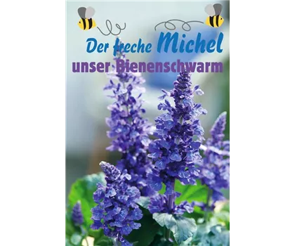 Der freche Michel - unser Bienenschwarm Der freche Michel - unser Bienenschwarm