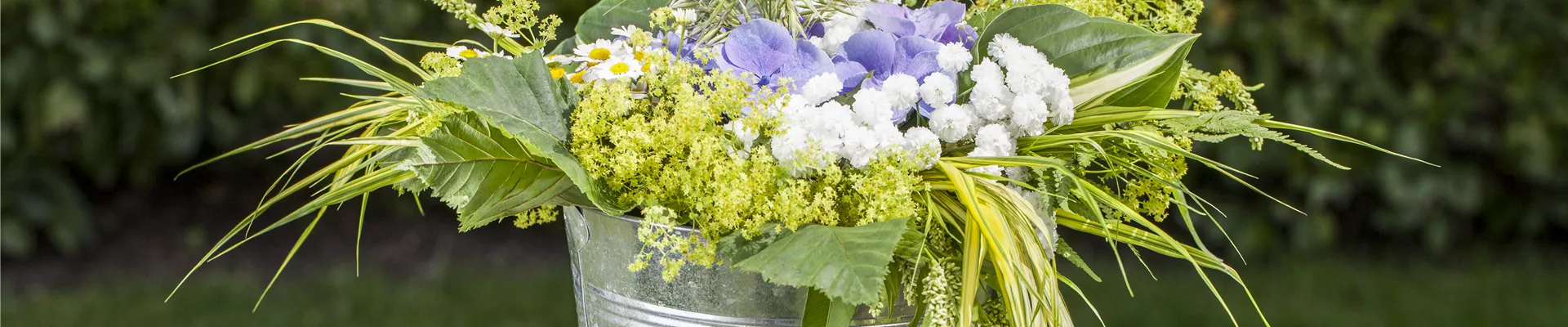 GS496941.jpg GS496941.jpg