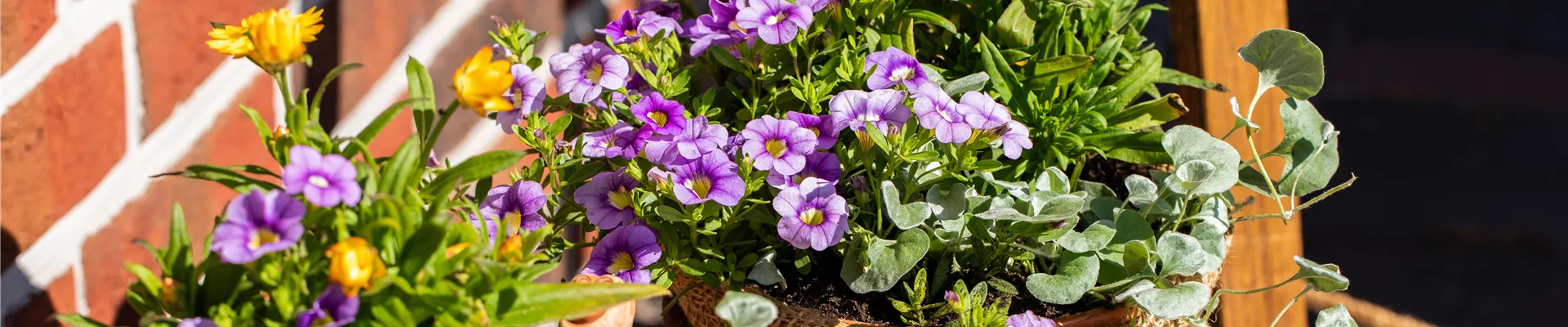 GS668185.jpg GS668185.jpg