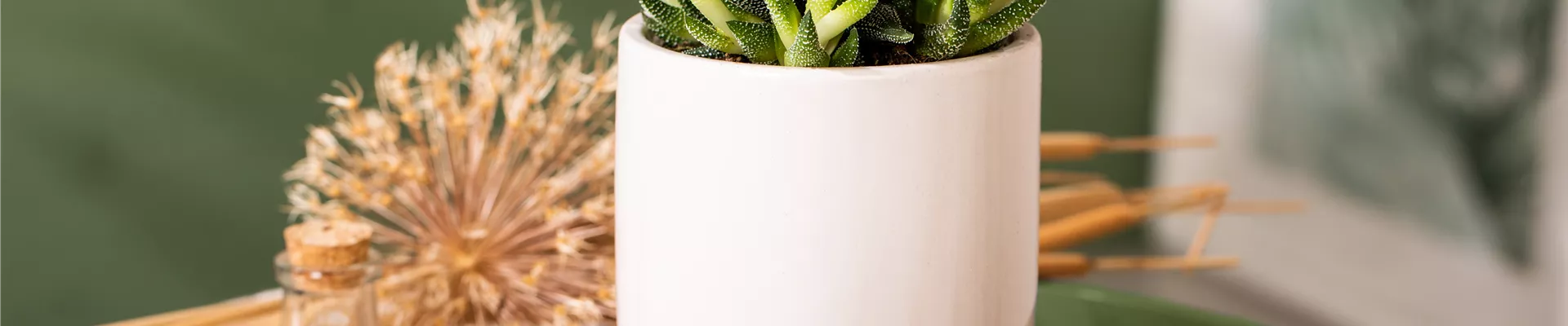 GS701762.jpg GS701762.jpg