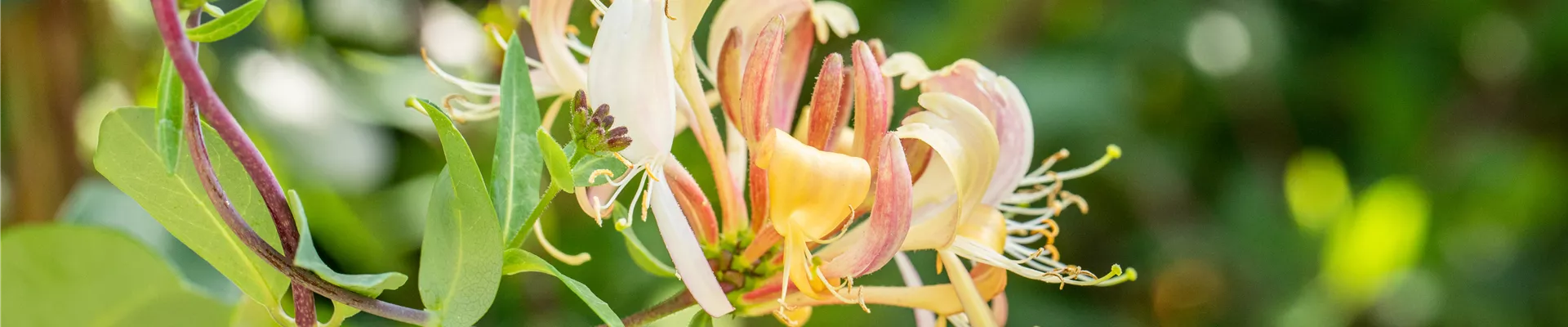 GS672133.jpg GS672133.jpg