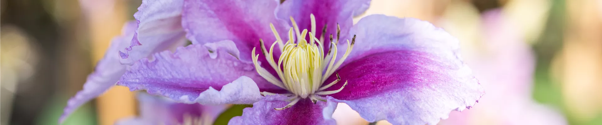 GS672145.jpg GS672145.jpg