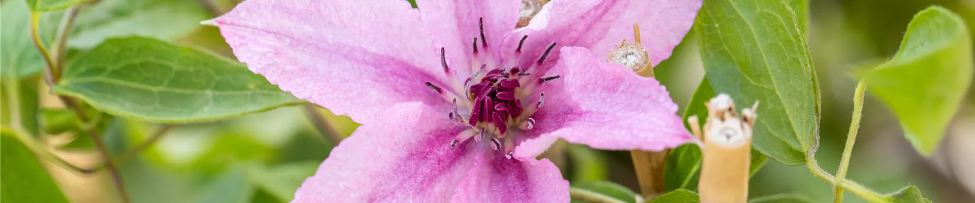 GS672119.jpg GS672119.jpg