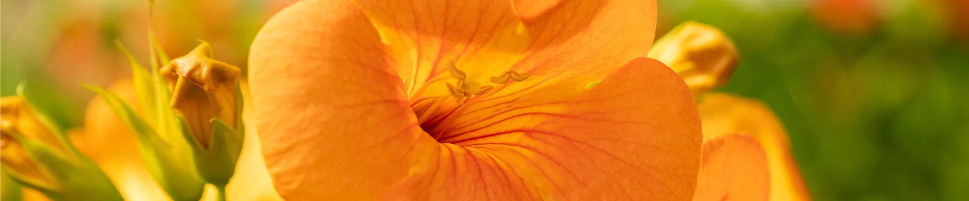 GS672150.jpg GS672150.jpg