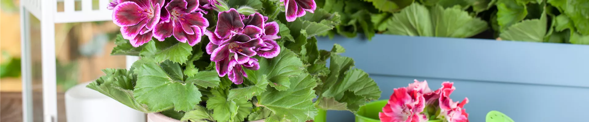 GS531143.jpg GS531143.jpg