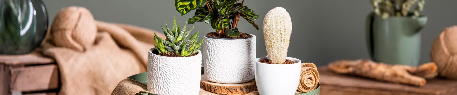 GS700206.jpg GS700206.jpg