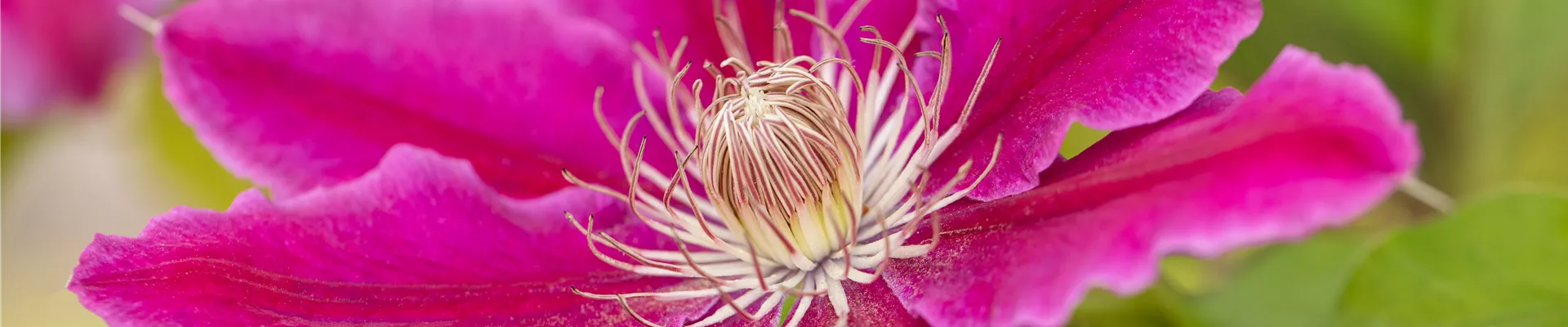 GS662987.jpg GS662987.jpg