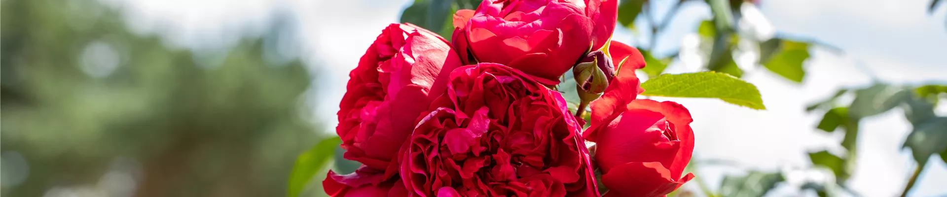 GS669596.jpg GS669596.jpg