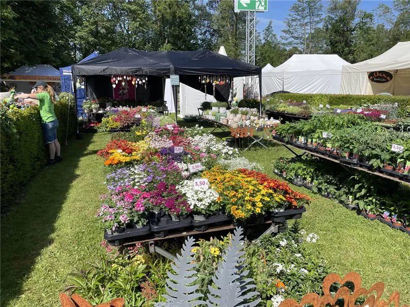 Rosenzauber Stetten / Niederstotzingen