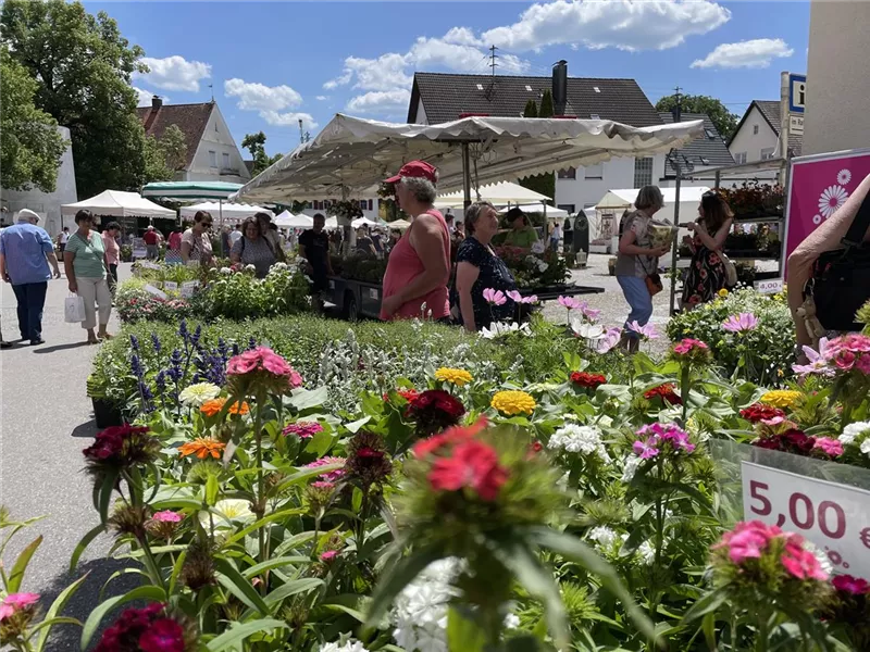 Rosenmarkt Jettingen