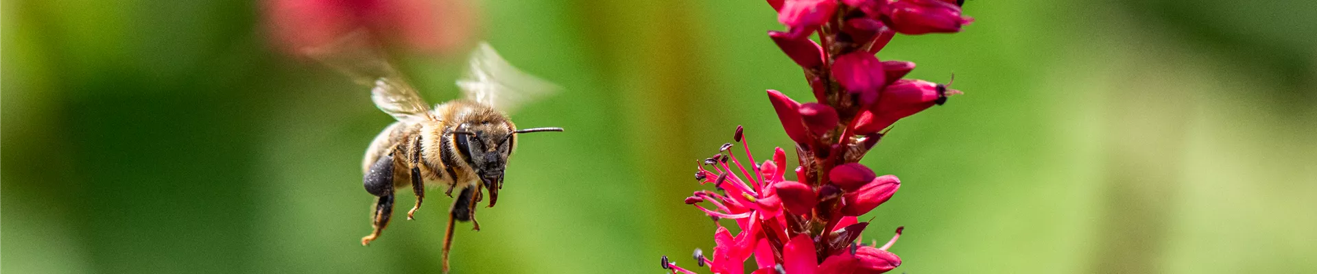 GS670418.jpg GS670418.jpg