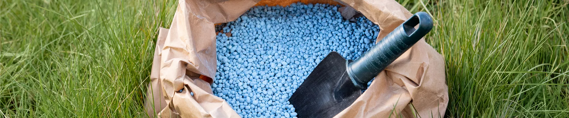 GS657902.jpg GS657902.jpg