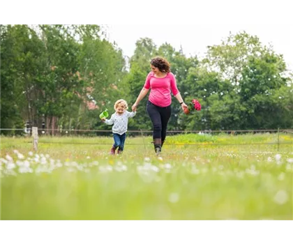 Ein Spielparadies für Kinder im eigenen Garten