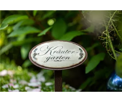 Ernte ohne Garten - Im duftenden Kräutergarten auf dem Balkon