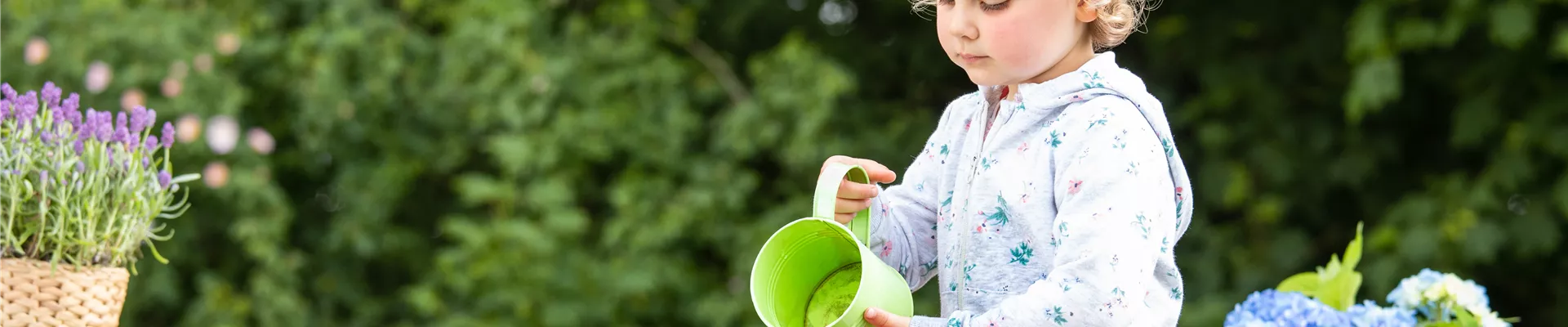 GS649310.jpg GS649310.jpg