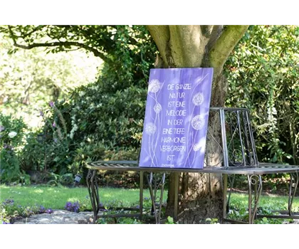 Gartendekoration sorgt für das gewisse Etwas