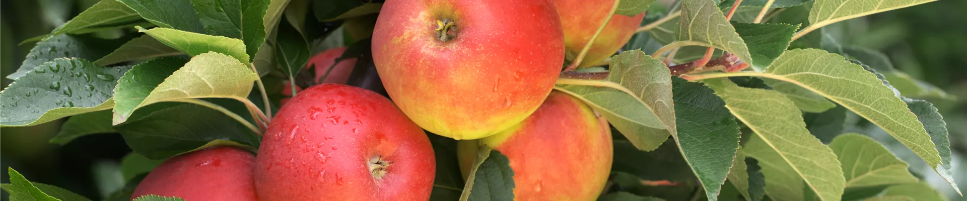 GS411210.jpg GS411210.jpg