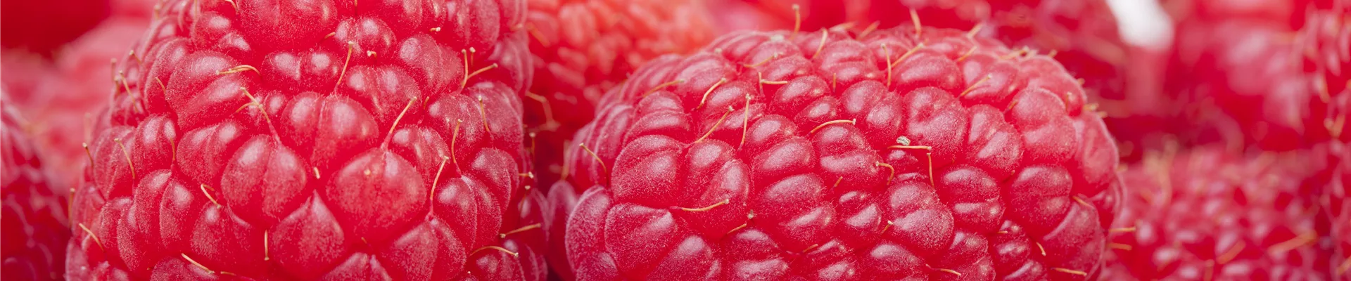 GS510144.jpg GS510144.jpg