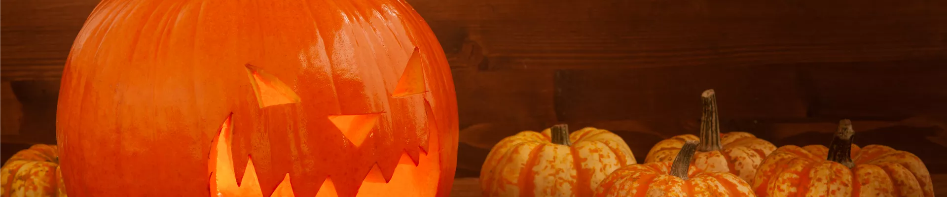 GS523151.jpg GS523151.jpg