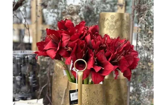 künstliche Amaryllis, burgundy rot,