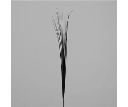 künstlicher Gras-Zweige, schwarz