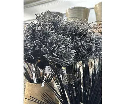 Kunstblume Protea Black (Zuckerbusch) schwarz, mit Blüte und Blättern, 72 cm