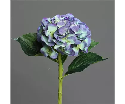 Hortensie (Hydrangea), Blau weiss - 1 Blütenkopf, 3 Blätter, Textil Hortensie (Hydrangea), Blau weiss - 1 Blütenkopf, 3 Blätter, Textil