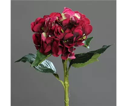 Hortensie (Hydrangea), fuchsia - 1 Blütenkopf, 3 Blätter, Textil Hortensie (Hydrangea), fuchsia - 1 Blütenkopf, 3 Blätter, Textil