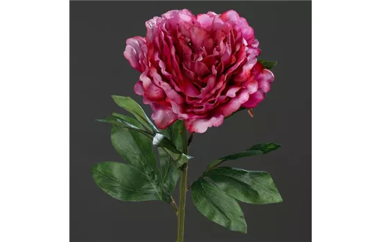 Päonie (Pfingstrose), große offene künstliche Blüte, mit 2 Blättern Päonie (Pfingstrose), große offene künstliche Blüte, mit 2 Blättern