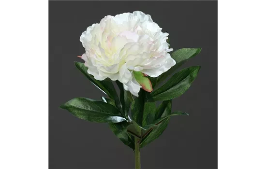 Päonie (Pfingstrose), große offene künstliche Blüte, mit 2 Blättern Päonie (Pfingstrose), große offene künstliche Blüte, mit 2 Blättern