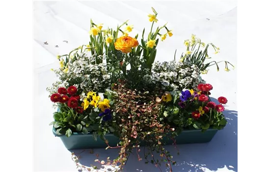 Frühlingskiste Kunterbunt