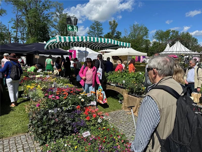 Gundelfinger Kräutermarkt