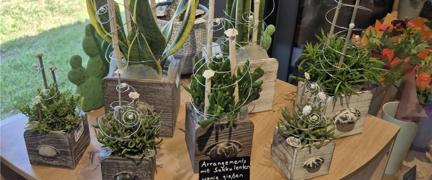 Arrangements mit Sukkulenten aus der Werkstatt von Blumen Eber in Ebers Blütenbox