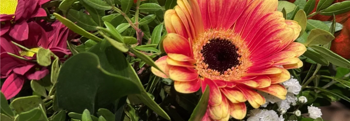 Frischer Blumenstrauß mit Gerbera aus Ebers Blütenbox