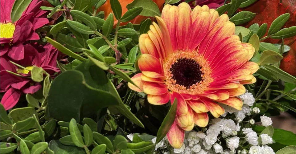 Frischer Blumenstrauß mit Gerbera, Rosen und Schleierkraut