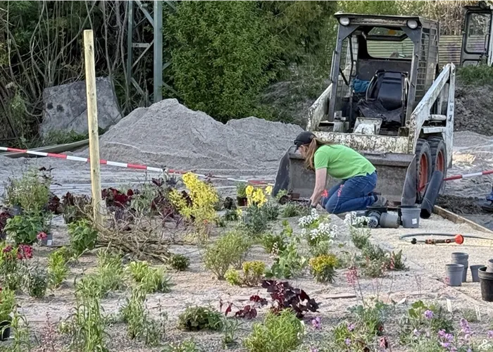 Insektengarten