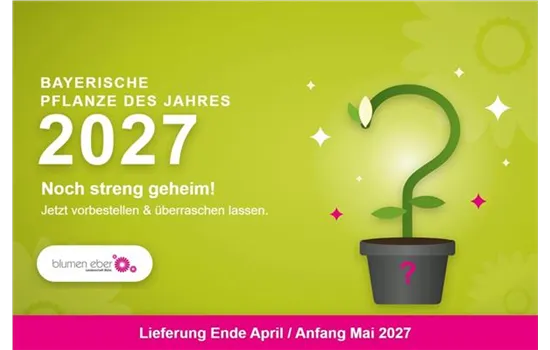 Bayerische Pflanze des Jahres 2027 – jetzt vorbestellen
