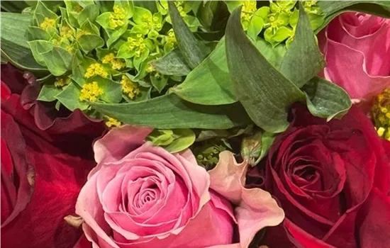 Blumensträuße & Arrangements